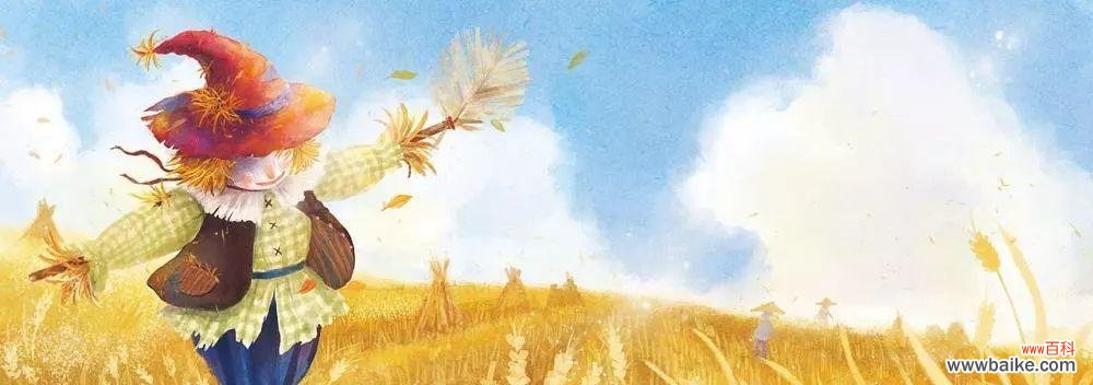 田间稻草人象征着什么花语？它在农业文化中扮演什么角色？