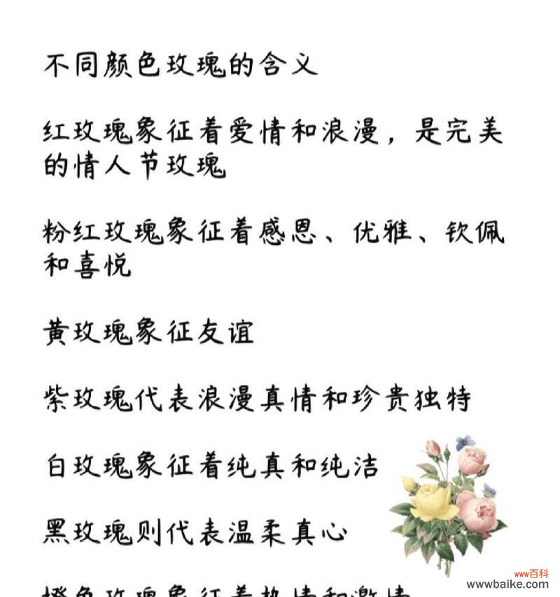 送玫瑰给情人有何深意?花语中情人玫瑰的寓意是什么?