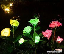 结婚顶灯装玫瑰花寓意什么？玫瑰在婚礼中的象征意义是什么？