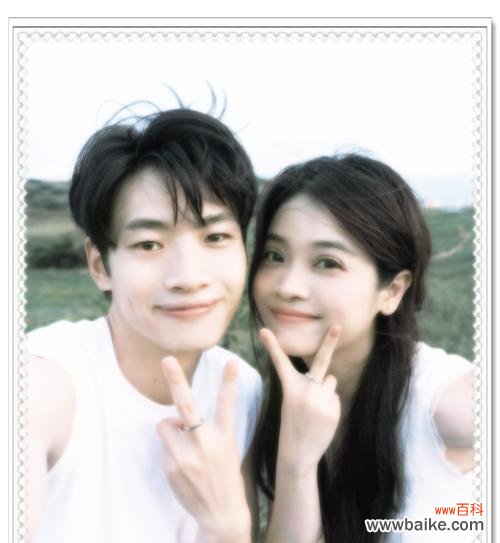 目光所至皆是你花语有何寓意？