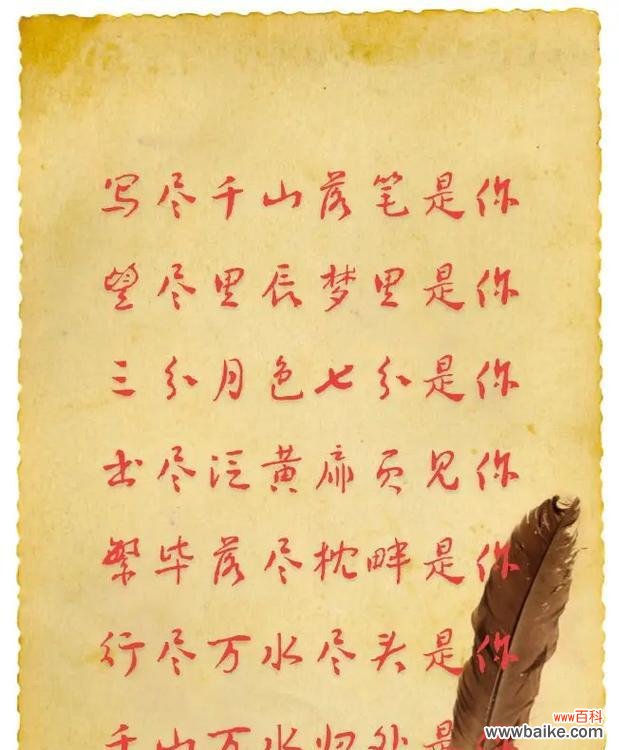 目光所至皆是你花语有何寓意？