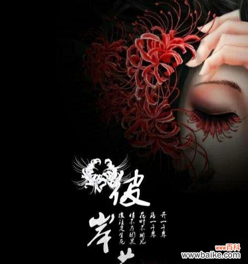 黑色茉莉的花语有何深意？