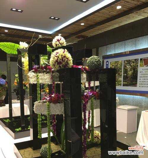 琵琶树的花语是什么意思啊?为什么路边的野花不要采的花语是什么?