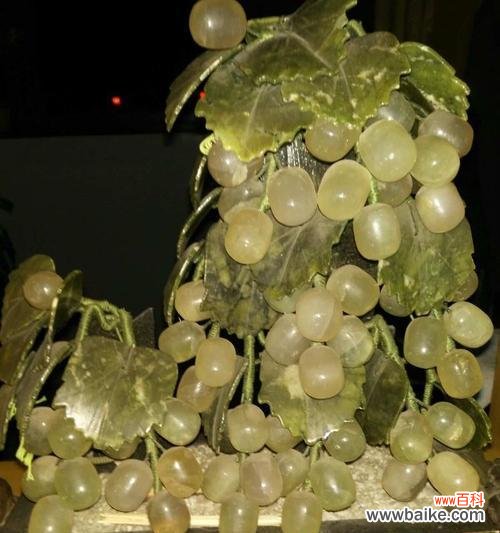 琵琶树的花语是什么意思啊?为什么路边的野花不要采的花语是什么?