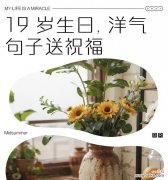 19这个数字在花语中代表什么？它有什么特别含义？