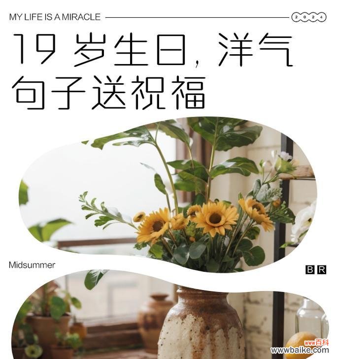 19这个数字在花语中代表什么？它有什么特别含义？