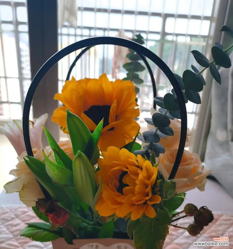 什么花的花语是会越来越好?哪种花象征着不断进步?