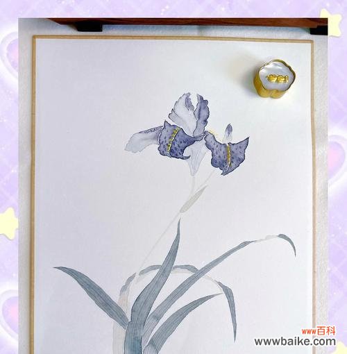 鸢尾押花的花语和寓意是什么?它象征着什么?