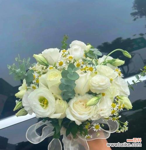 在夜店送玫瑰花合适吗?女生应该选择送什么?