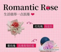 哪种花的花语象征轻率？