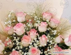 白玫瑰加艾莎玫瑰的花语是什么？这两种玫瑰的花语有何不同？