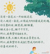 宝宝送的花代表什么意义？