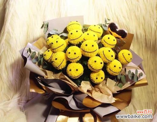 乒乓菊的花语有哪些?它代表了怎样的情感?