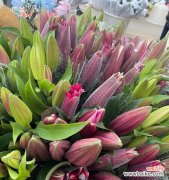 香水百合的花语是什么意思？香水百合象征着什么？