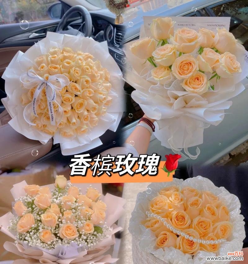 香槟草莓的花语是什么？它代表了什么？