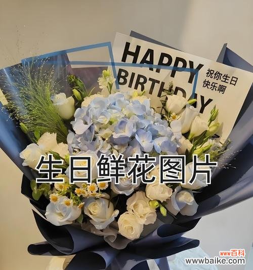 创作原声中的浪漫花语有哪些？它们如何表达情感？