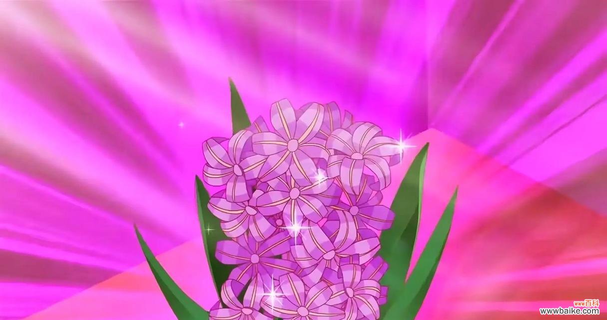 精灵王花象征着什么？它的花语有何深意？