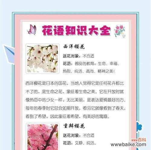 樱花在日语中的花语是什么？