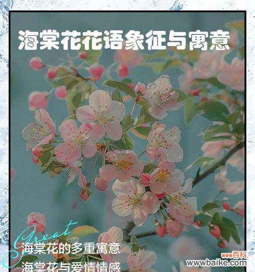 花朵寓意和花语有哪些?