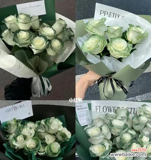 解读绿玫瑰的神秘符号和心灵意义 绿玫瑰的花语及其深层寓意