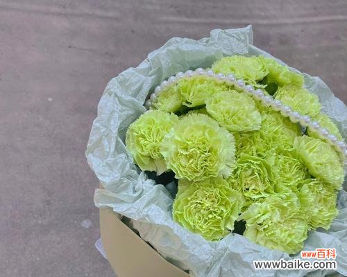 解读康乃馨花语中的绿色含义 绿色康乃馨花语探秘