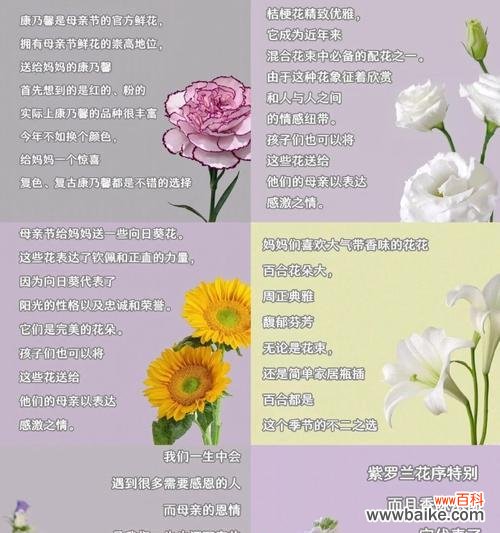 成长花语的花是什么意思?如何用花语表达成长?
