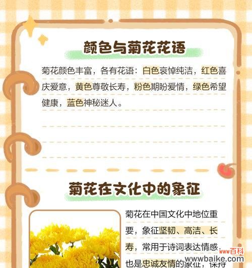 菊花花语在诗词中如何体现？有哪些著名的例子？