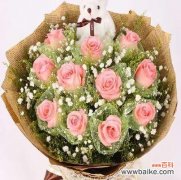 粉玫瑰花的意义及象征性 粉玫瑰