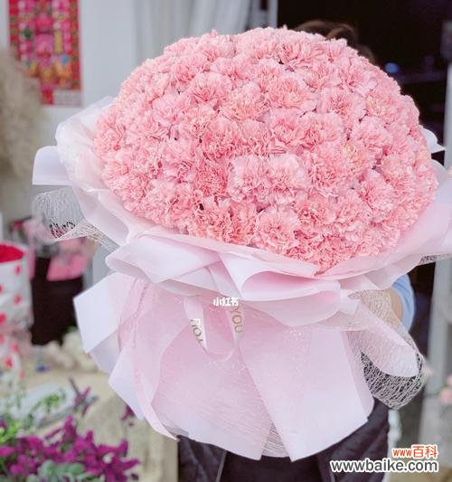 传递爱与关怀的花语 粉色康乃馨的象征意义