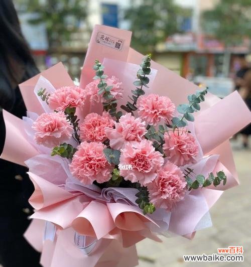 传递爱与关怀的花语 粉色康乃馨的象征意义