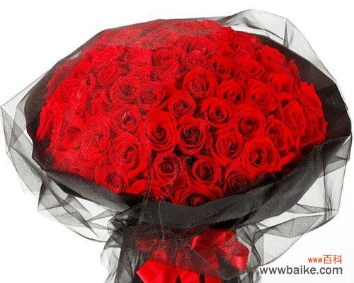 玫瑰花的寓意有哪些?送女友玫瑰花代表什么?