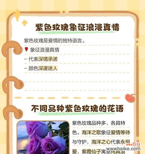 永远爱玫瑰的花语是什么？它代表了怎样的承诺？