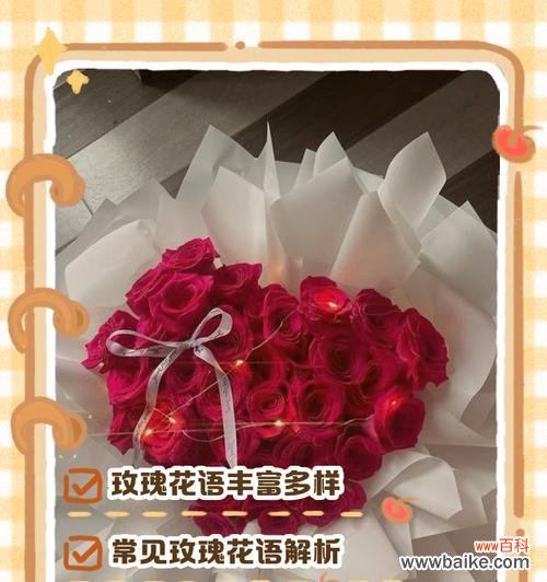 52朵黑魔术玫瑰代表什么?花语有何深意?