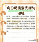 哪种花的花语能与向日葵媲美？