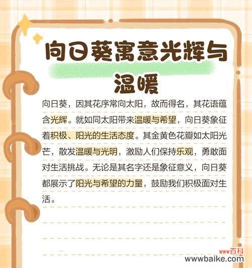 哪种花的花语能与向日葵媲美?