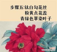 红色牡丹花代表的花语是什么？