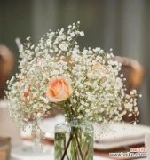 用满天星诉说永恒的爱意 满天星的爱情花语——浪漫绽放的爱之誓言