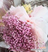 揭开满天星背后的神秘面纱 满天星的象征意义与传说