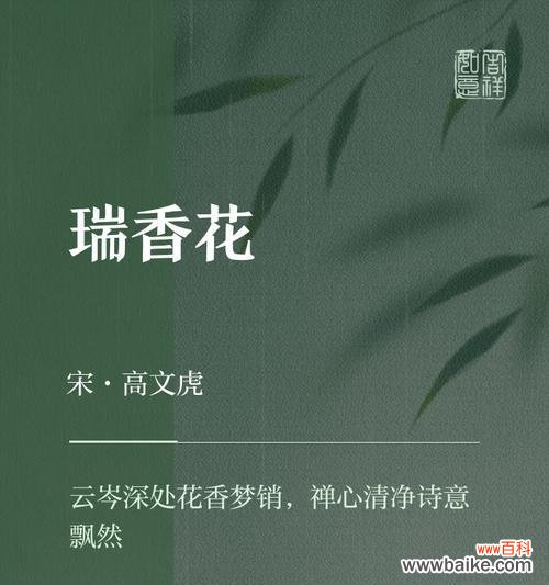 瑞香花语代表什么?瑞香的花语含义是什么?