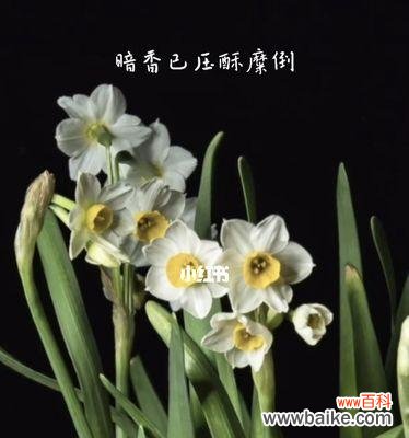 自我价值的标志与追求 傲慢与自豪