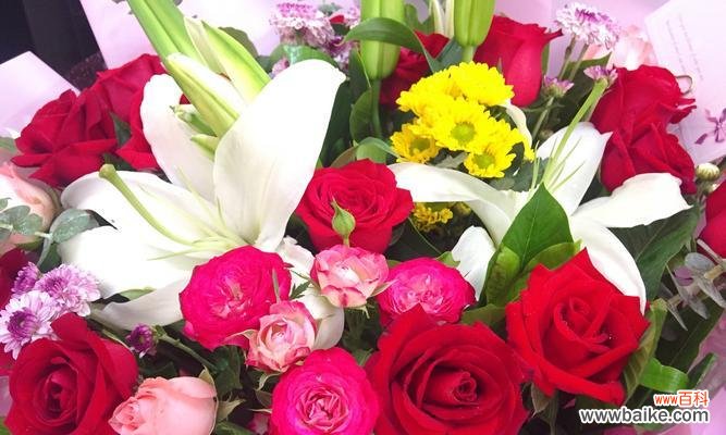 以花代表的友谊,让爱在心间长存 友谊之花绽放永恒