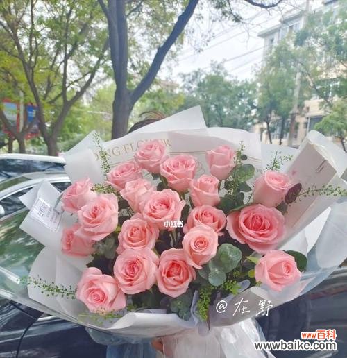 探索戴安娜玫瑰的深层意义,传递爱与祝福 戴安娜玫瑰的花语与传说