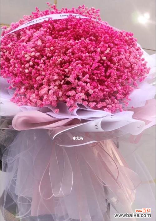 探寻满天星的花语之谜 满天星花语之色彩与寓意