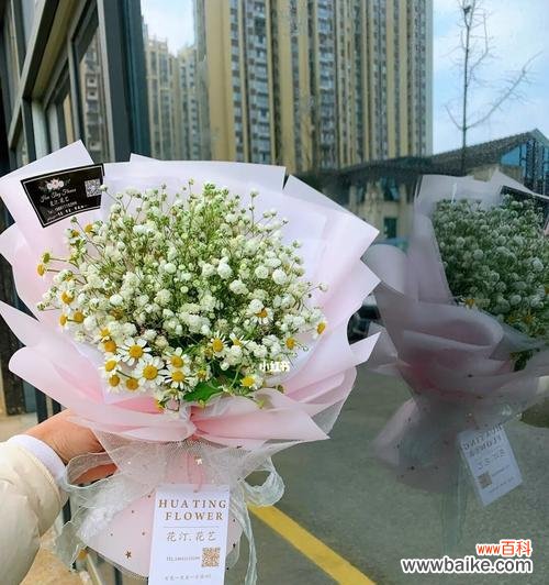 以星辰点缀的花束 满天星花束的美丽寓意