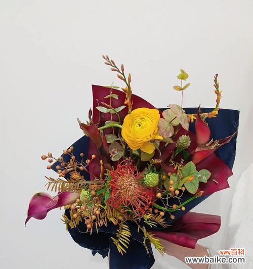 鲜花针垫花语是什么？鲜花针垫花语的寓意是什么？