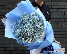 蓝色香槟花语是什么？蓝色香槟花语的含义是什么？