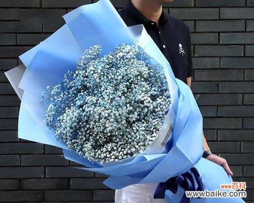 蓝色香槟花语是什么?蓝色香槟花语的含义是什么?