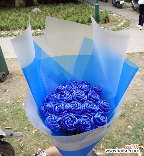 蓝色香槟花语是什么?蓝色香槟花语的含义是什么?