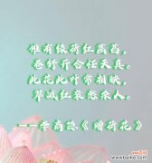 双面荷花花语是什么？双面荷花的寓意有哪些？