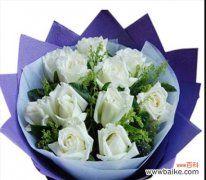 传达心意的花朵，用白玫瑰述说永恒的情感 二十一朵白玫瑰的花语